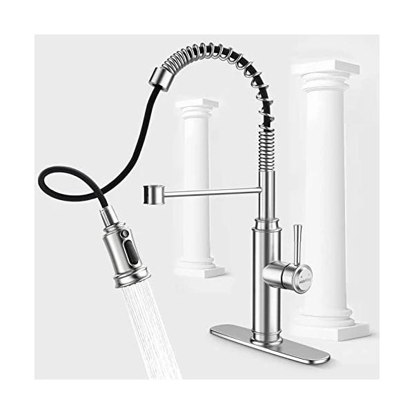 WaterSong Spring Pull-Down Kitchen Faucet